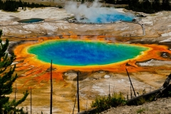 Grand Prismatic Spring