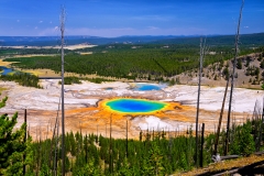 Grand Prismatic Spring